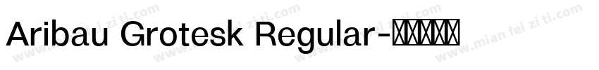 Aribau Grotesk Regular字体转换
